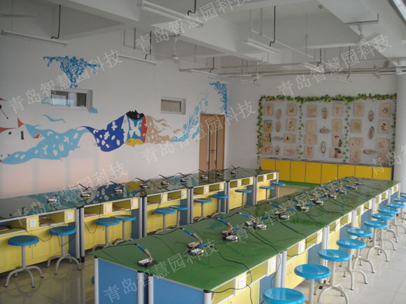 ���ӻ�ʵѵ��